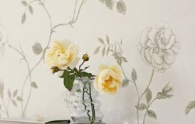 Rosalie Wallpaper Detail
